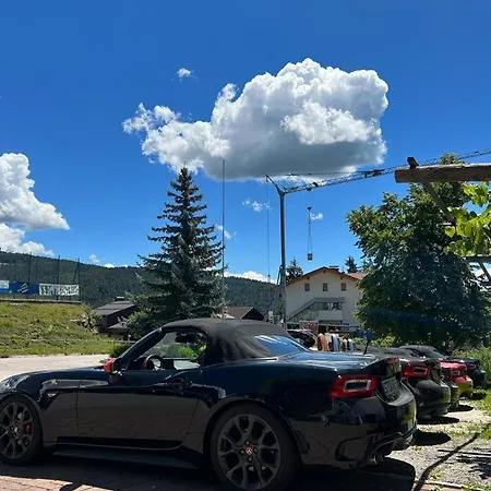 Albero Verano